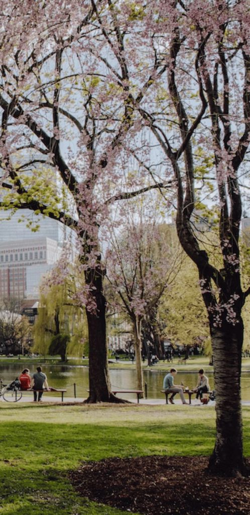 Le parc public vu par Yascha Mounk
